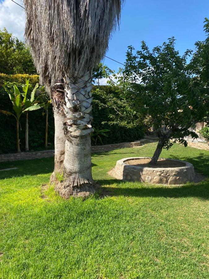 Masia Pau Prat Llica d'Amunt Exterior foto